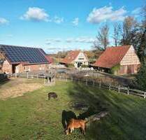 Ein Areal, das Maßstäbe setzt! Qualität in bester Güteklasse inklusive genehmigter Pferdehaltung! - Rahden Pr. Ströhen