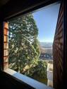 Wohnzimmer_Aussicht - 