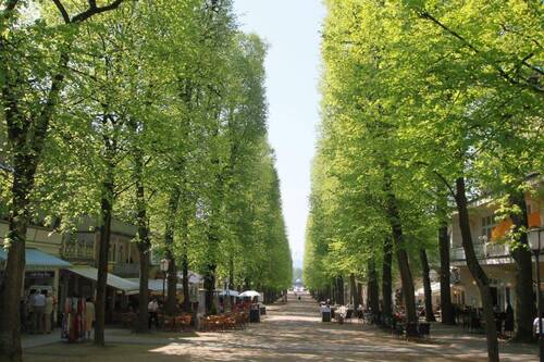 Hauptallee - 