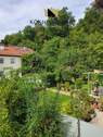 Blick zum Waldrand - 