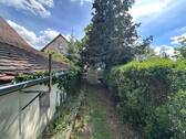 Blick zum Gewächshäuschen - 