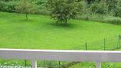Balkonblick - 