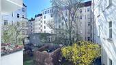 Blick in Innenhof von Wohnzimmer 1 - 