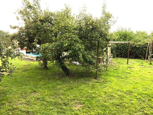 hinterer Grundstücksbereich - 