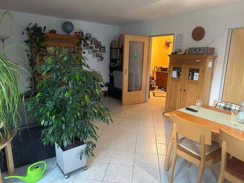 Wohnzimmer mit Pflanzen - Etagenwohnung mit 82,20 m² in Radolfzell am Bodensee zum Kaufen