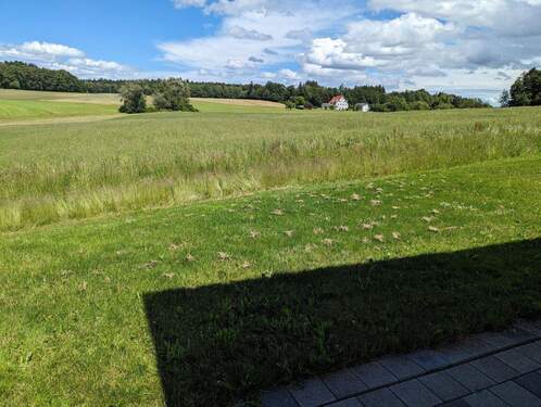 Landschaft mit Wiese - 