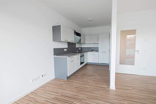 Moderne offene Küche - 