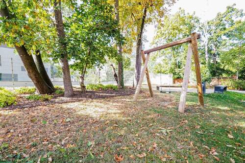 Spielplatz mit Schaukel - 