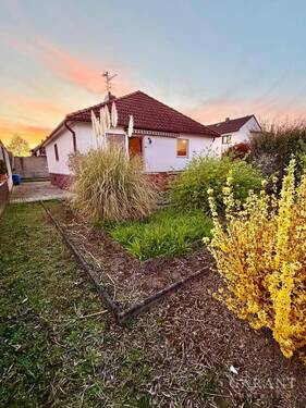 Hausansicht seitlich - 3 Zimmer Einfamilienhaus zum Kaufen in Worms