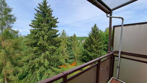 Balkon mit Blick ins Grüne.jpg - 2 Zimmer Etagenwohnung in Jahnsdorf/Erzgeb.