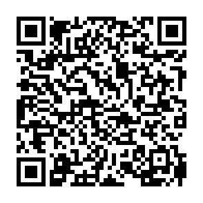 QR-Code - 