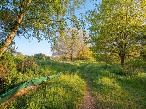 umliegende Natur - 