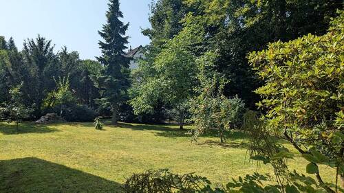 k-PXL_20250814_092222942.jpg - 