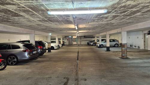 20250916_124113.jpg - 