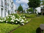 Innenbereich.JPG - Gepflegte, gemütliche 2-Zimmer-Wohnung in Stadtnähe mit Balkon und Aufzug