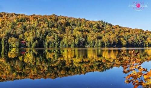 Bild 3 - Grundstück in Saint-Faustin-Lac-Carre