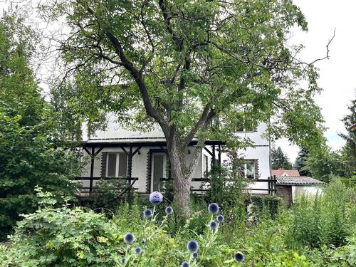 Hausansicht Garten.jpeg - 