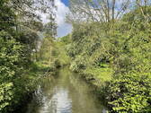 Bild 20 - 