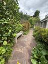 Garten.jpg - 