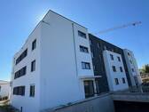 IMG_1995 - 