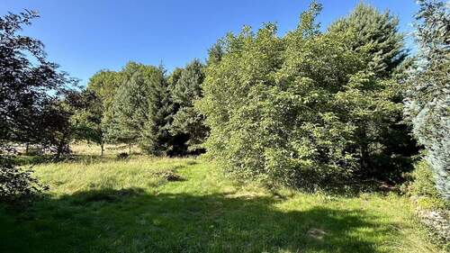 Großes Gartengrundstück - Einfamilienhaus mit 118,00 m² in Werda zum Kaufen