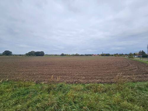 Bild 4 - Grundstück in Muldestausee