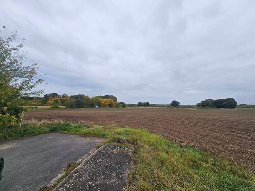 Bild 5 - Grundstück in Muldestausee zum Kaufen
