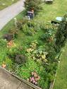 IMG_2052.JPG - 