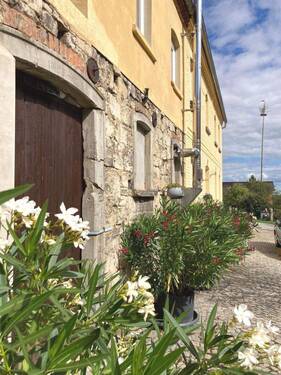 IMG_2110.JPG - Mehrfamilienhaus, Wohnhaus mit 465,00 m&sup2; in Jena zum Kaufen