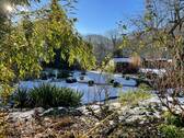 Blick aus dem Wintergarten - 