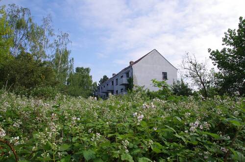 Bild 2 - Grundstück zum Kaufen in Schkeuditz