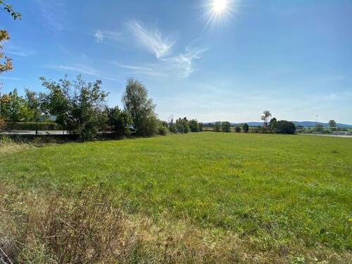 Blick nach Osten - Grundstück zum Kaufen in Bautzen
