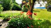 Garten Richtung Feld - 
