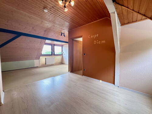 Zimmer DG - 