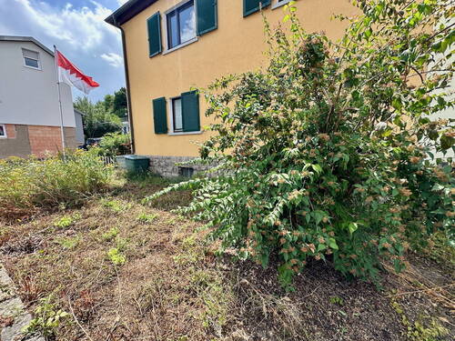 Garten vor dem Haus - 