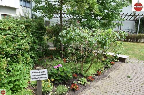 Detail, Gartenanlage - 