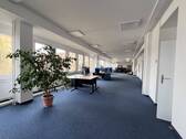 Großraumbüro - 5 Zimmer Büro in Zwickau / Pölbitz