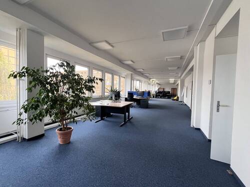 Großraumbüro - 5 Zimmer Büro in Zwickau / Pölbitz