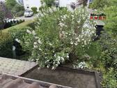 Ausblick in den Garten - 