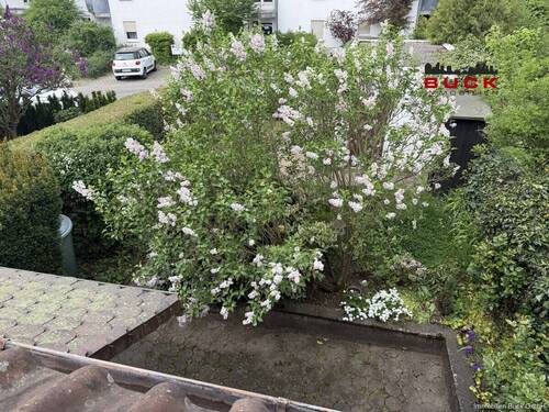 Ausblick in den Garten - 