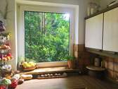 Immergrüne Blick aus dem Küchenfenster - 
