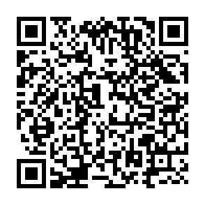 QR-Code - 
