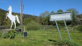 Niedersachsen-Eck - 5 Zimmer Doppelhaushälfte zum Kaufen in Staufenberg-Speele