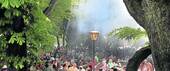 Biergarten Haager All - 