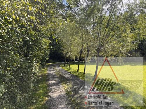 Zuwegung - Mehrfamilienhaus, Wohnhaus in Lienen zum Kaufen