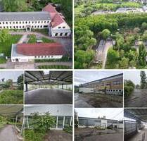 Ca. 35.270 m² gr. Gewerbegrundstück mit Lagerhallen, Gewächshaus, Wohnhäuser, Bürogebäude, Garagen, SP, Freilagerfläche u.v.m. - ca. 60 % vermietet - Leipzig Dölitz-Dösen