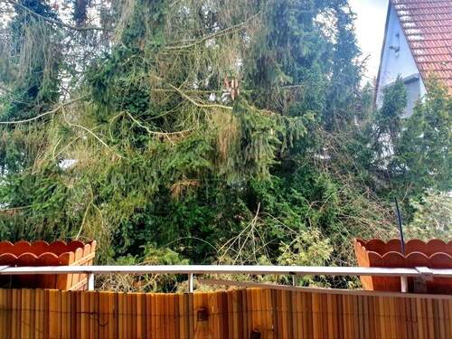 Balkonblick ins Grüne - 