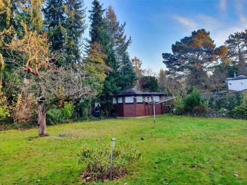 Gemeinschaftsgarten - 