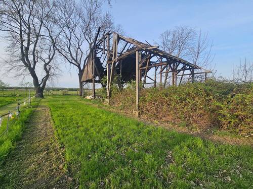 Bild 11 - 