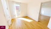 Zimmer 3 - 